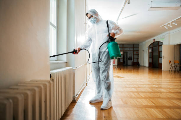 Professional Pest Control in Paisley, FL